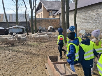 9ffc1b96-d3b1-419c-8ec1-3060faece04a