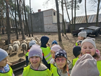 18b3f87b-fd92-491f-96ce-8c2268638316