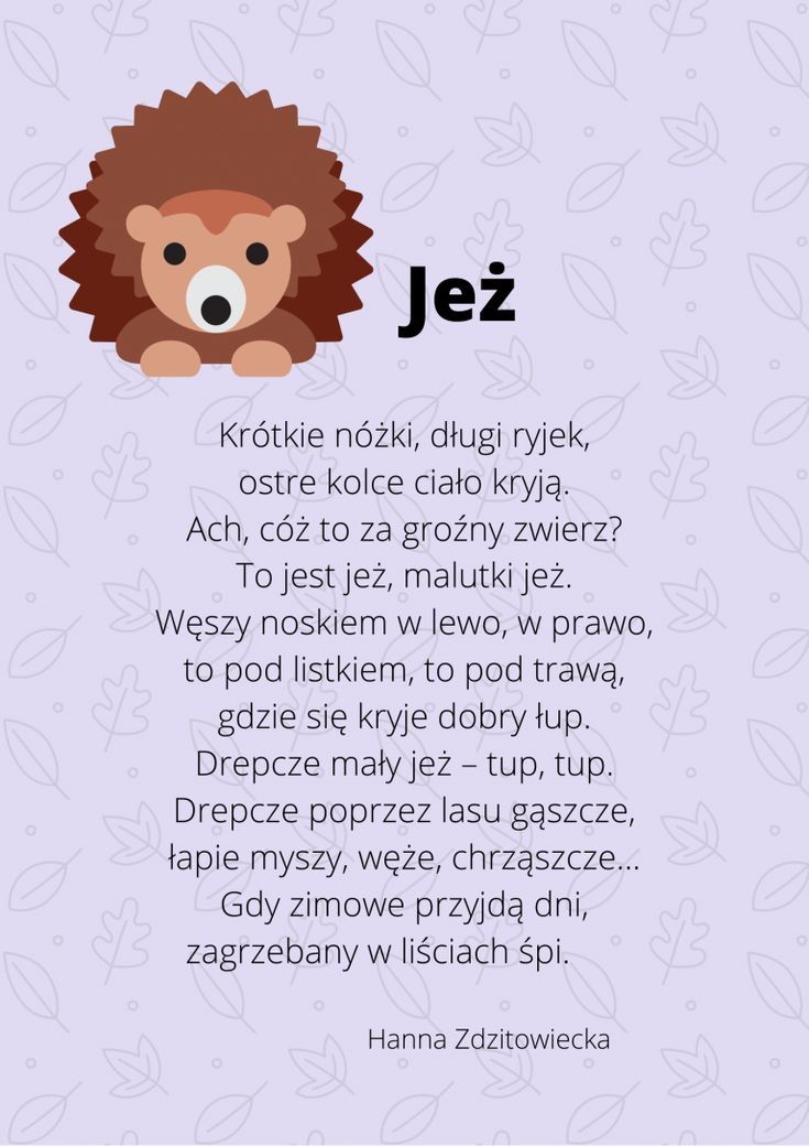 DZIEŃ JEŻA