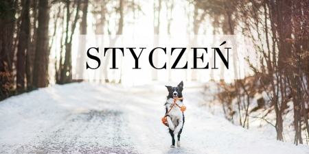 ZAMIERZENIA DYDAKTYCZNO-WYCHOWAWCZE NA MIESIĄC STYCZEŃ