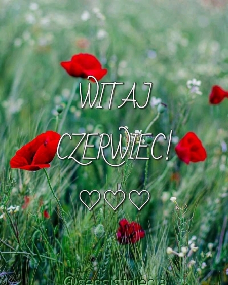 ZAMIERZENIA DYDAKTYCZNO-WYCHOWAWCZE NA MIESIĄC CZERWIEC