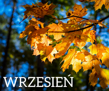 ZAMIERZENIA DYDAKTYCZNO-WYCHOWAWCZE NA MIESIĄC WRZESIEŃ