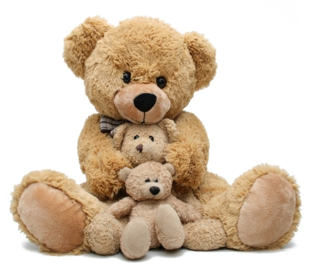 DZIEŃ PLUSZOWEGO MISIA