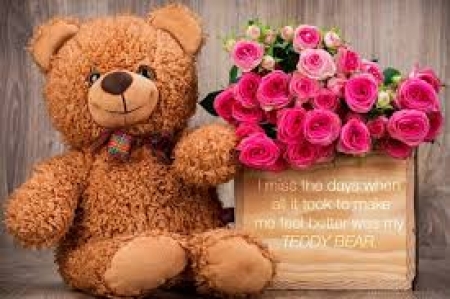 Dzień Pluszowego Misia 