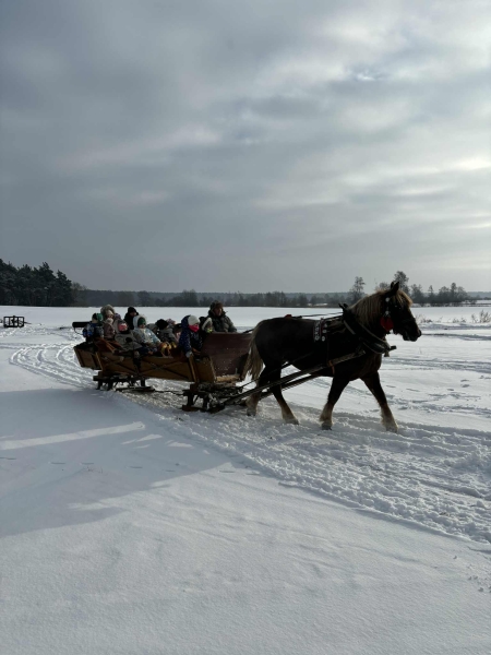 Zimowa przygoda Pszczółek            