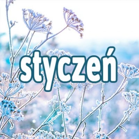 Zamierzenia dydaktyczno-wychowawcze na miesiąc styczeń.