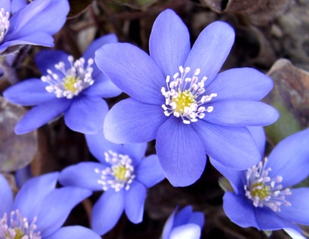 WIERSZ I PIOSENKA DO NAUKI -MARZEC