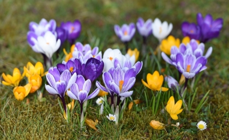 PIOSENKA I WIERSZ - MARZEC