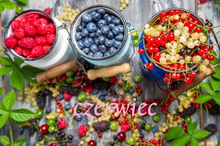 ZAMIERZENIA DYDAKTYCZNO-WYCHOWAWCZE NA MIESIĄC CZERWIEC
